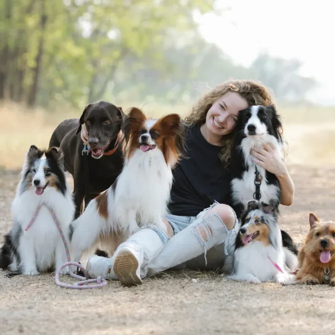 Roadie Group Dog Walking